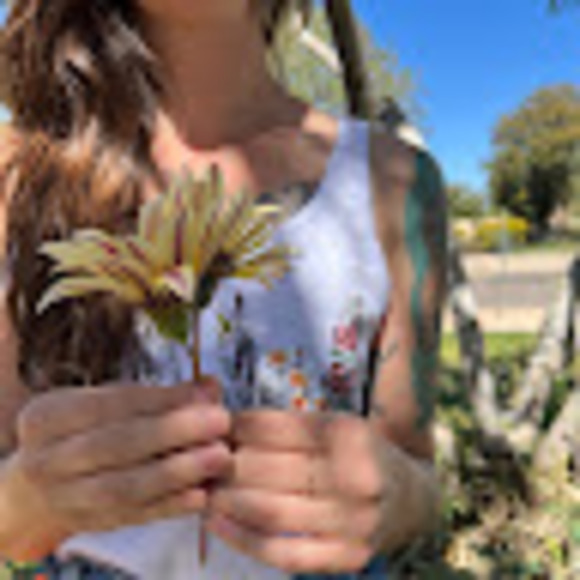 zoe_antoinette